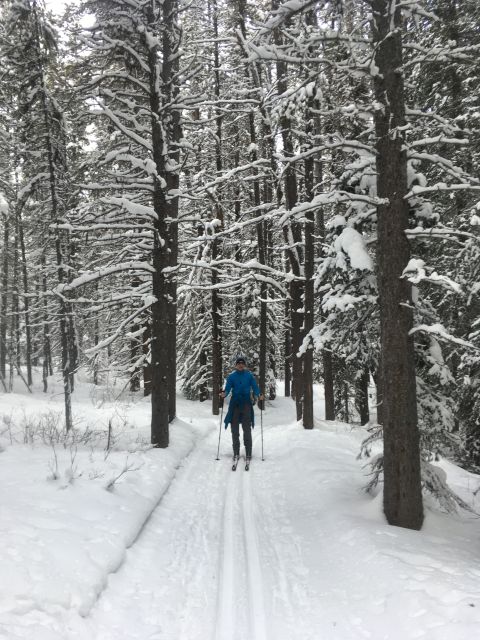 Lake Louise: Cross Country Skiing Lesson With Tour - Tour Highlights