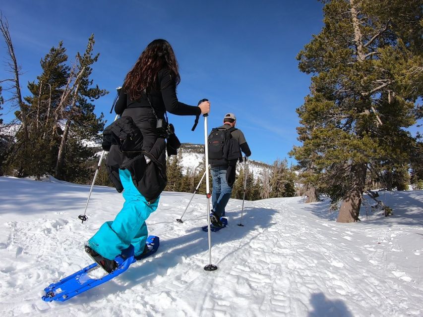 Lake Tahoe: Snowshoeing Guided Tour - Inclusions