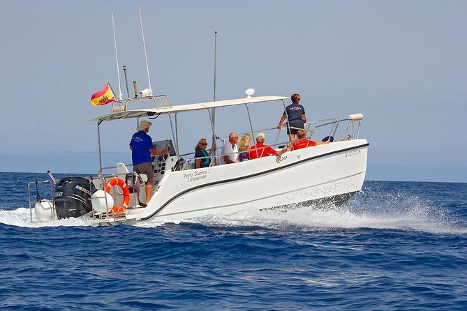 Lanzarote Sea Safari From Puerto Calero - Meeting Instructions