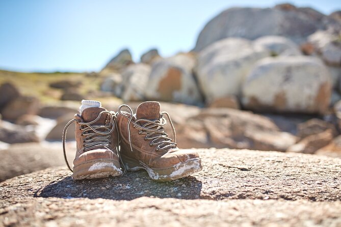 Larapuna / Bay of Fires Hiking Tour - 4 Days - Accommodation and Meals