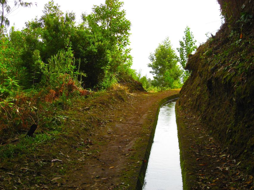 Madeira / Mimosa Valley - Levada Walk - Activity Description