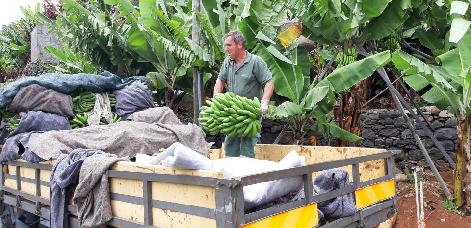 Madeira: Private Banana Farm Tour With Pickup - Tour Inclusions