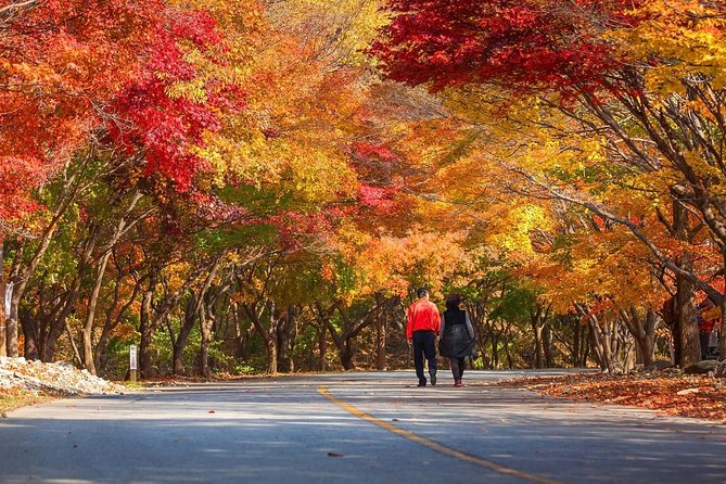 Magnificent Naejangsan National Park Autumn Foliage Tour From Seoul - What to Expect on Tour