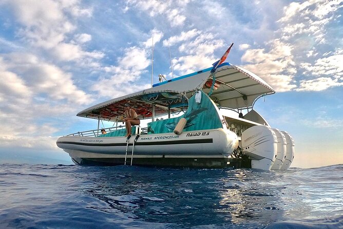 Manta Ray Snorkel Moonlight Kona Hawaii- Small Group - Cancellation Policy and Safety