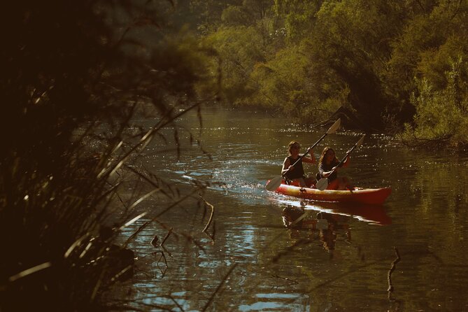 Margaret River Kayaking and Winery Tour - Paddling Through Margaret River