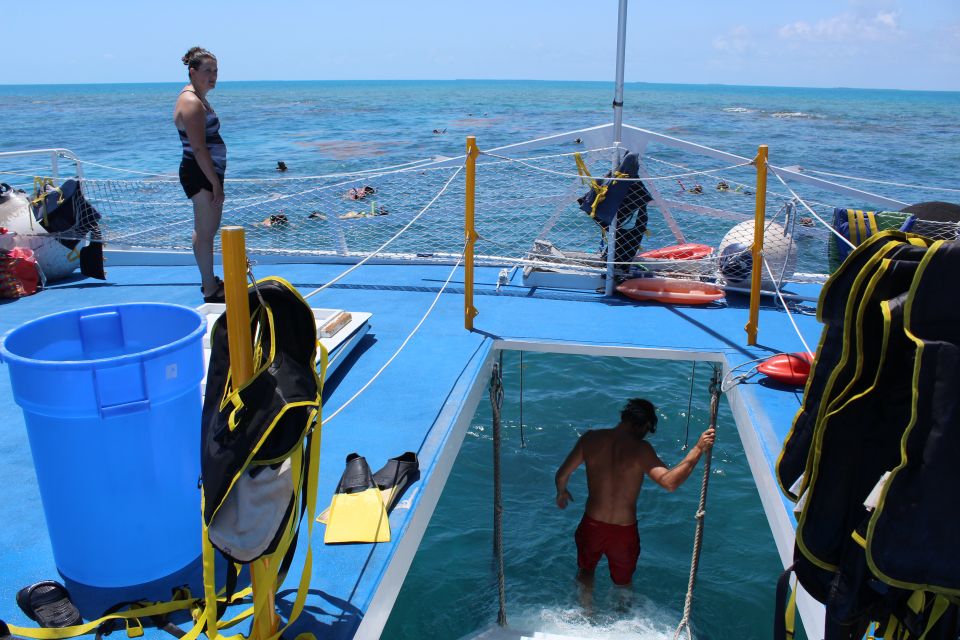 Miami: Key West Boat Tour W/ Optional Snorkeling & Open Bar - Booking Details