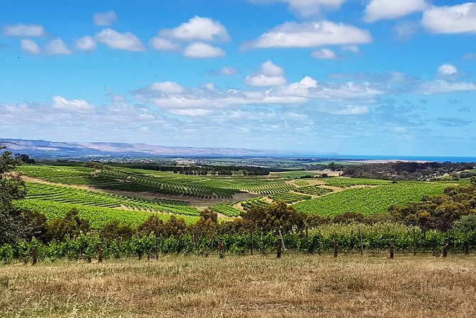 Micro-Group Mclaren Vale Wine Tour From Adelaide - Before You Book, Know This