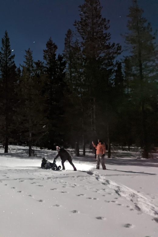 Moonlight Snowshoe Tour Under a Starry Sky - Tour Highlights