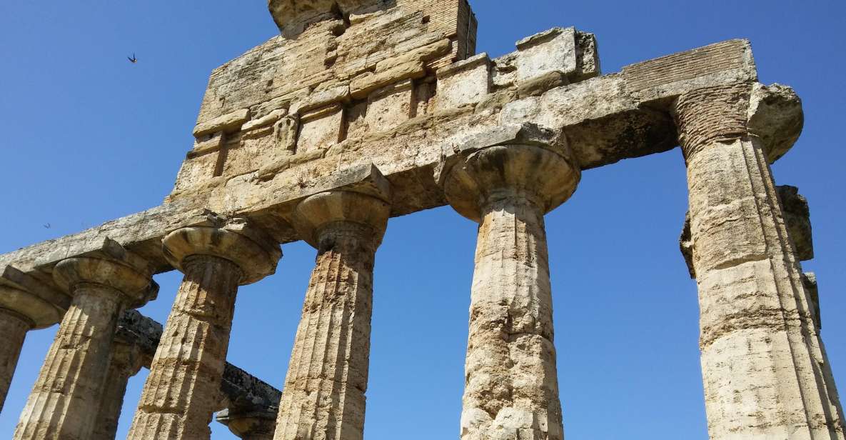 Naples: Go to Paestum by Car and Visit the Temples - Inclusions