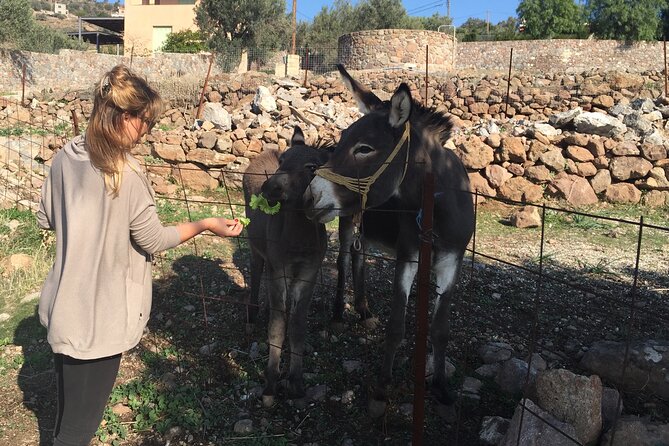 Naxos Villages Food Tour - Practical Information