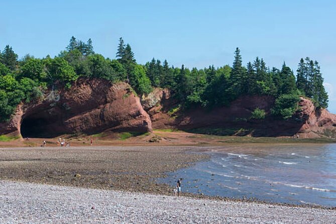 New Brunswick Shore Excursion: Bay of Fundy and More Highlights Tour - Details and Additional Information