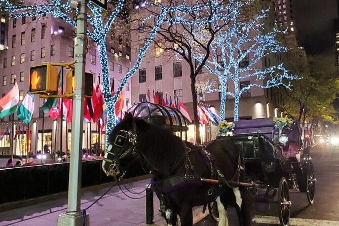 New York City Christmas Lights Private Horse Carriage Ride - Traveler Experience