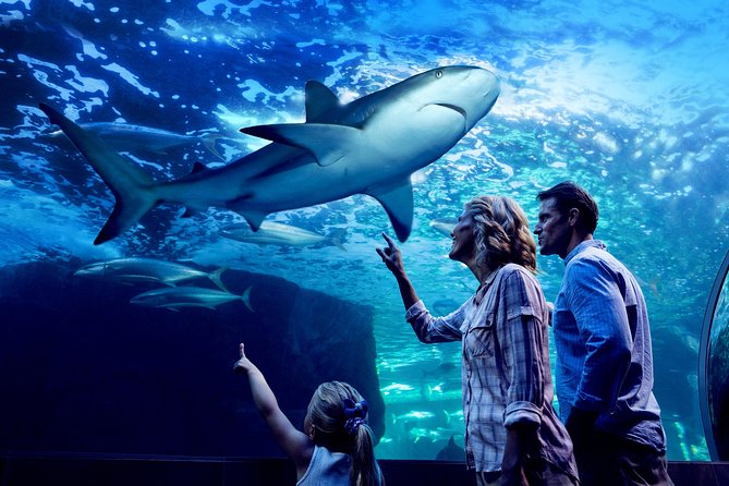 Night at the Aquarium Tour & 2 Course Dinner - Delicious 2-Course Dinner