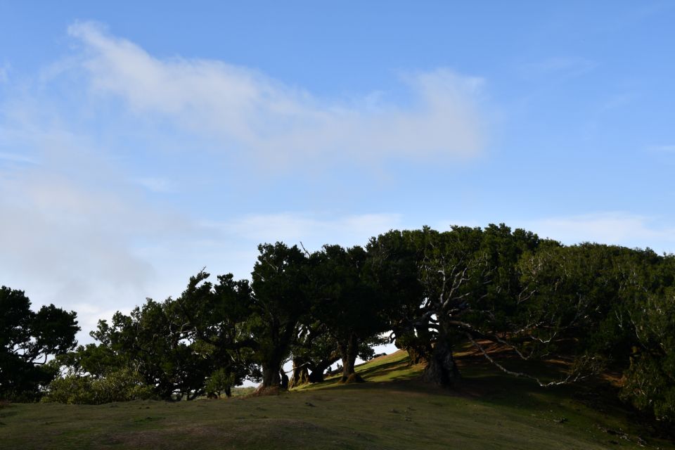 Norwest Tour - Fanal, Achadas Da Cruz and Porto Moniz - Inclusions