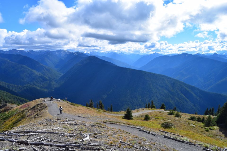 Olympic National Park: Sol Duc and Hurricane Ridge Tour - Inclusions Provided