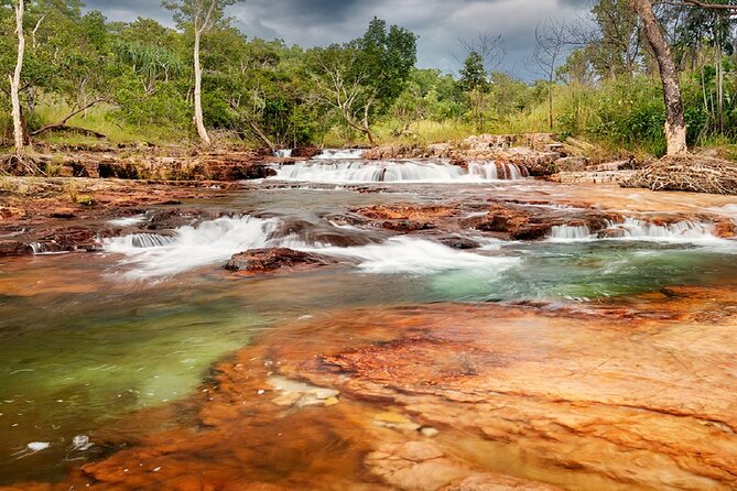 One Day Litchfield Park Adventures + Berry Springs - Experiencing Indigenous Culture