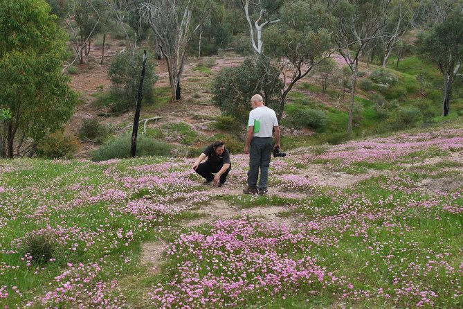 Orchids and Wildflowers Photographic Day Tour From Perth - Expert Guidance and Support