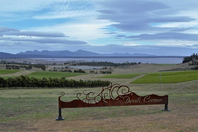 Our Coal River Valley Premier Wine And Food Indulgence - Enjoy a Private Wine Tour