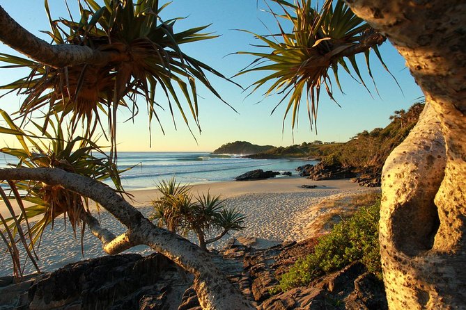 Overnight Tweed Coast Camping and Surfing Getaway From The Gold Coast - Camping Under the Stars