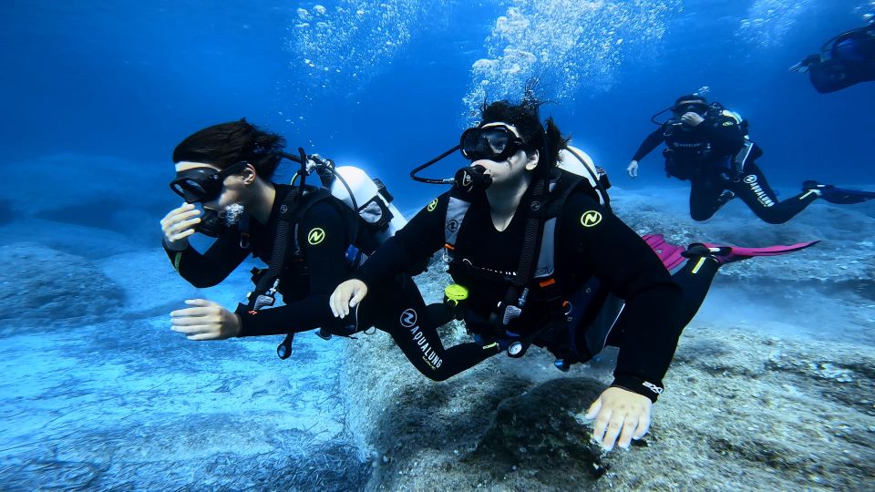 PADI Scuba Diving Program for Beginners in Peloponesse - Price and Duration