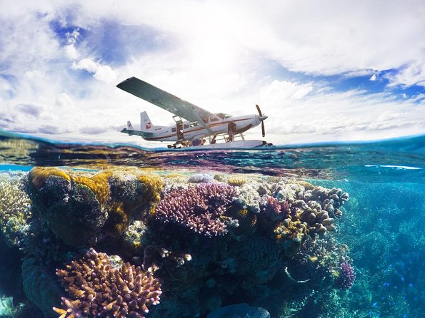 Panorama: the Ultimate Seaplane Tour - Great Barrier Reef & Whitehaven Beach - Unwind on Whitehaven Beach