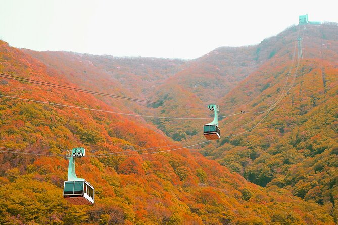 Panoramic Yeongnam Alps Gondola Autumn Foliage Tour From Busan - Safety and Accessibility