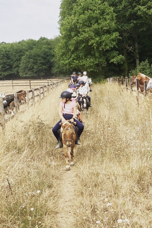 Paris : Horse Riding Camp With English Lessons in Senonches - Full Description