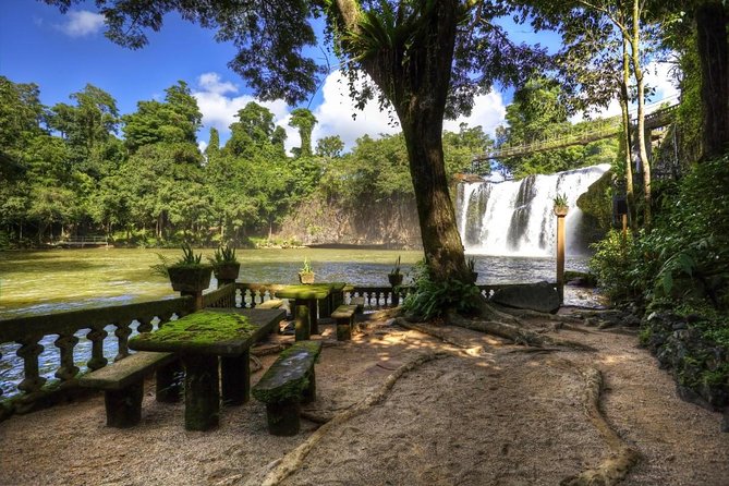 Paronella Park and Millaa Millaa Falls Full-Day Tour From Cairns - Exploring Paronella Parks Wonders