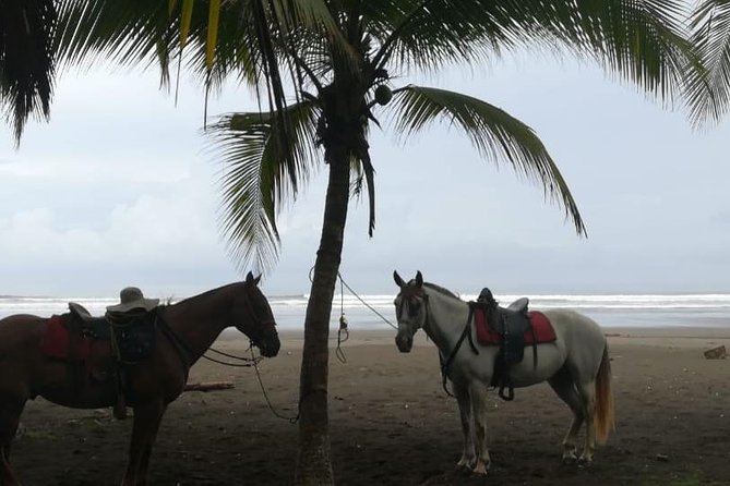 Personalized Beach Adventure Near Jaco - Safety Measures