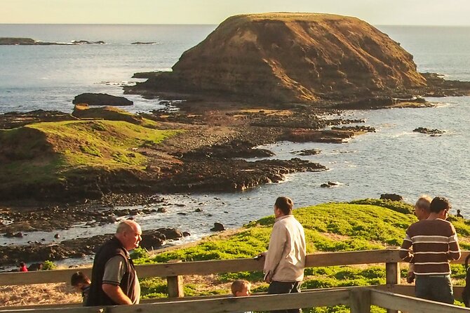 Phillip Island Penguin Parade, Wildlife and Beach Boxes Bus Tour - Exploring Phillip Island Nature Park