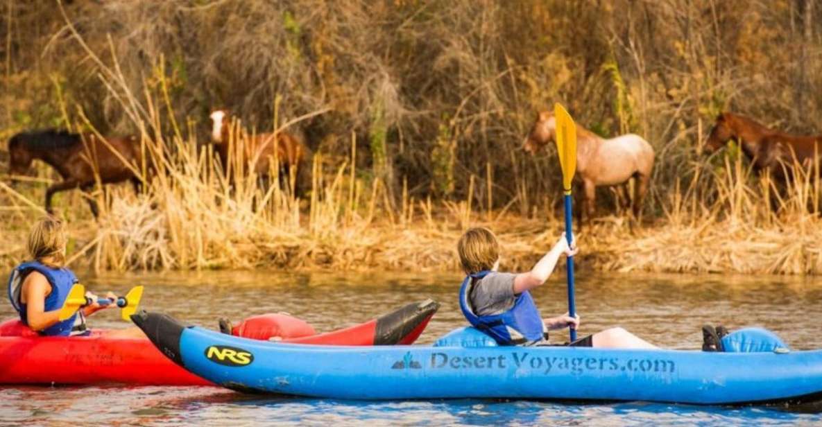 Phoenix & Scottsdale: Lower Salt River Kayaking Tour - Detailed Activity Description