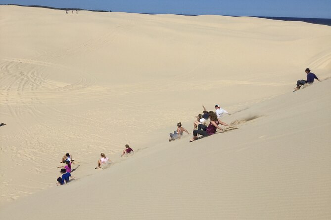 Port Stephens, Beach and Sand Dune 4WD Passenger Tour - Wildlife and Scenic Views