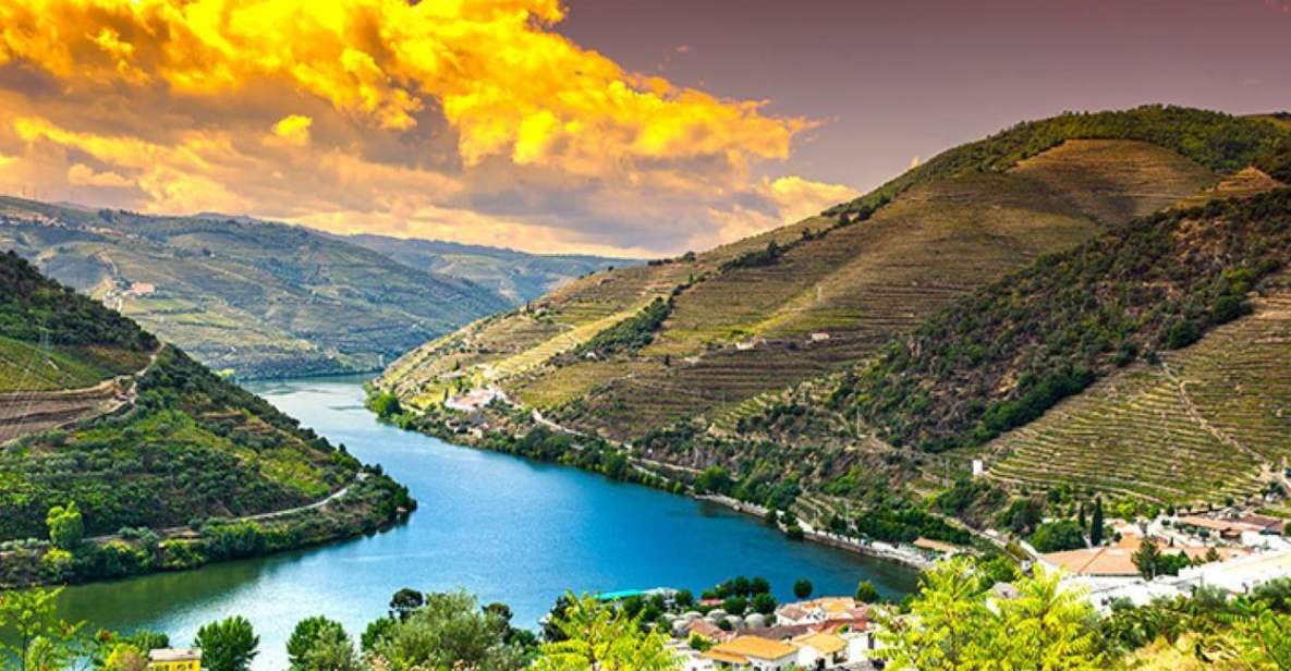 Porto: Douro Valley Private Full-Day Tour - Tour Provider