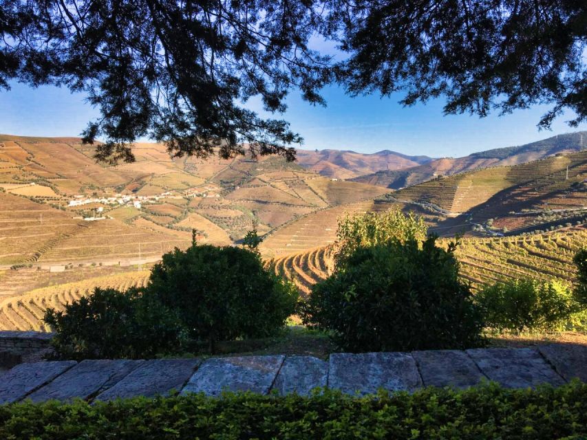 Porto: Douro Valley Tour With 3 Wineries & Lunch - Booking and Inclusions