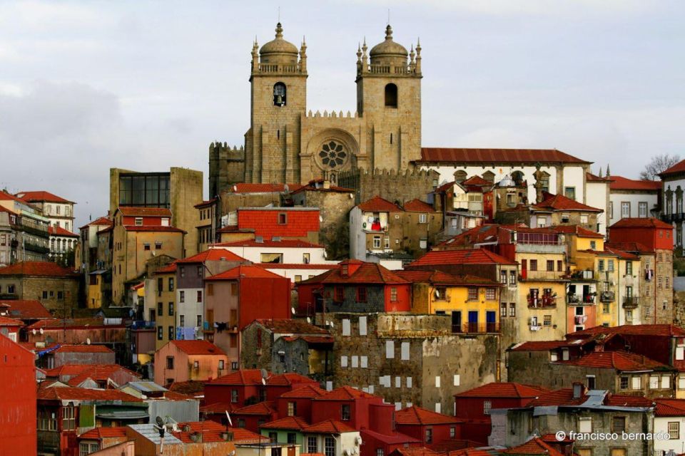 Porto: Private Full-Day City Tour - Description