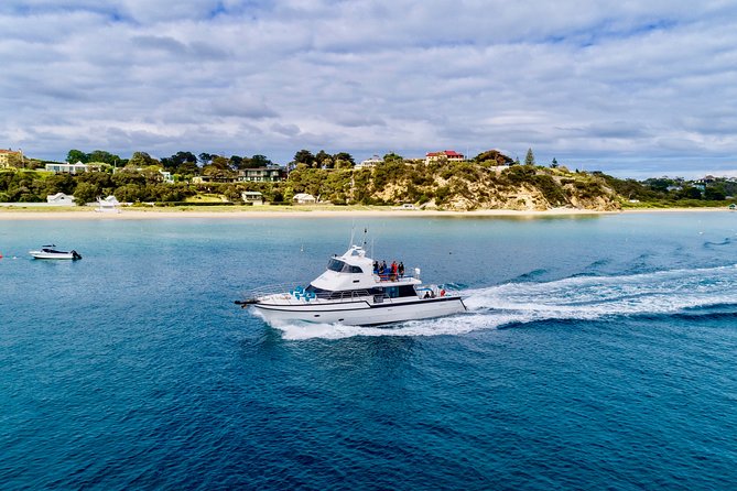 Private 2 Hour Dolphin and Seal Swim Mornington Peninsula - Luxury Tour Inclusions and Amenities