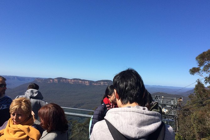 PRIVATE All Blue Mountains Tour, Wildlife Park and River Cruise - Reviews and Ratings Breakdown