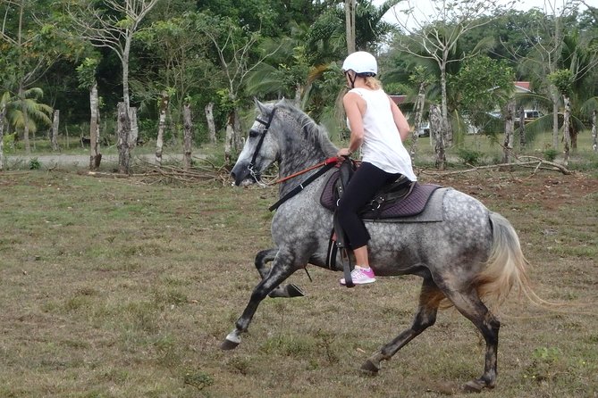 Private and Customized Horseback Riding Adventures - Safety and Accessibility Information