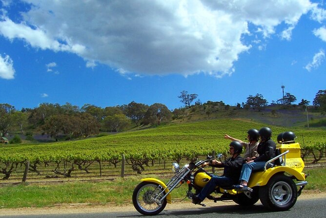 Private Barossas Best Sightseeing Tour for Two - Reviews and Ratings Summary