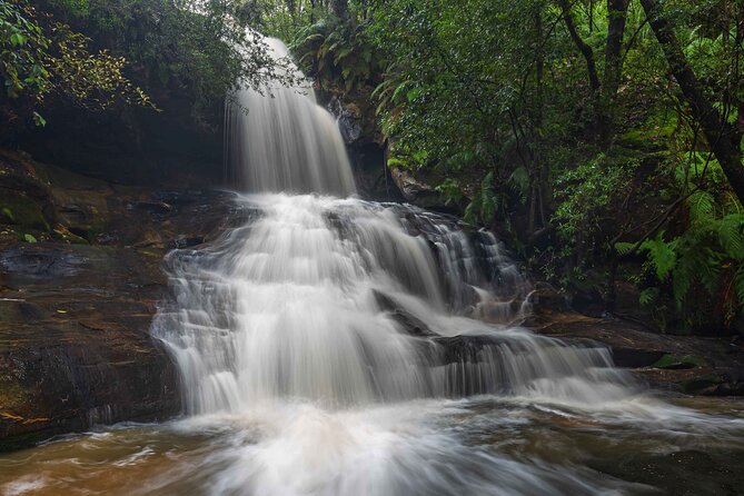 PRIVATE Blue Mountains & Scenic World Tour in a Luxury Car - Inclusions and Amenities