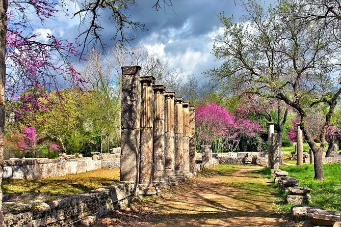 Private Excursion to Ancient Olympia - Bee Farm & Winery - Traveler Experiences and Reviews