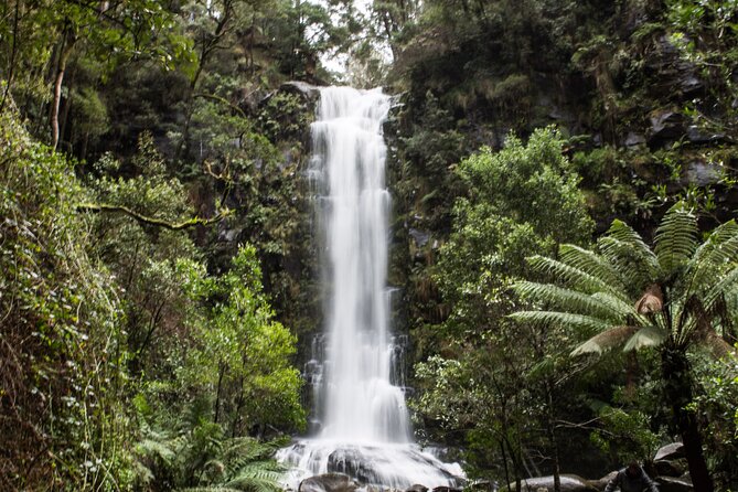 Private Great Ocean Road - The Ultimate Aussie Adventure - Customized Itinerary for All