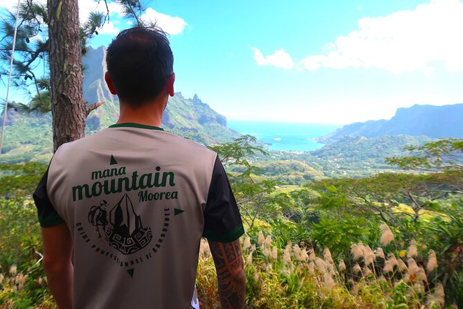 Private Half-Day Hike in the Opunohu Valley in Moorea - Cancellation Policy