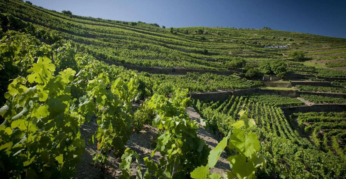 Private Luxury Wine & Food Tour in Douro - Itinerary