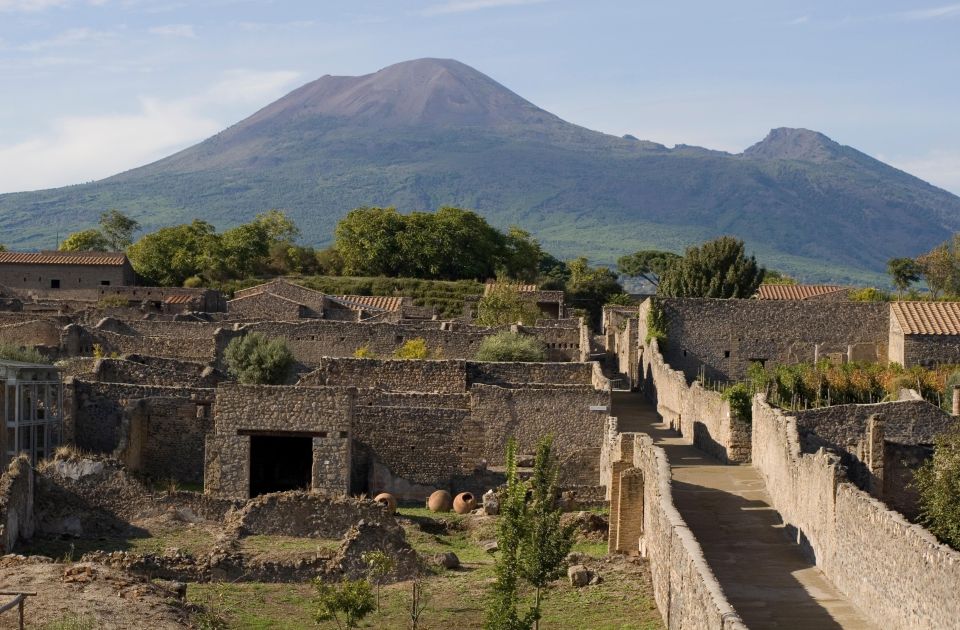 Private Pompeii & Vesuvius Wine Tasting Tour - Experience Description