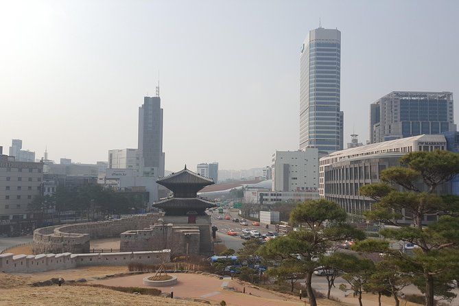 Private Tour - Gyeongbokgung Royal Palace and Eastern Gate - Important Health and Safety