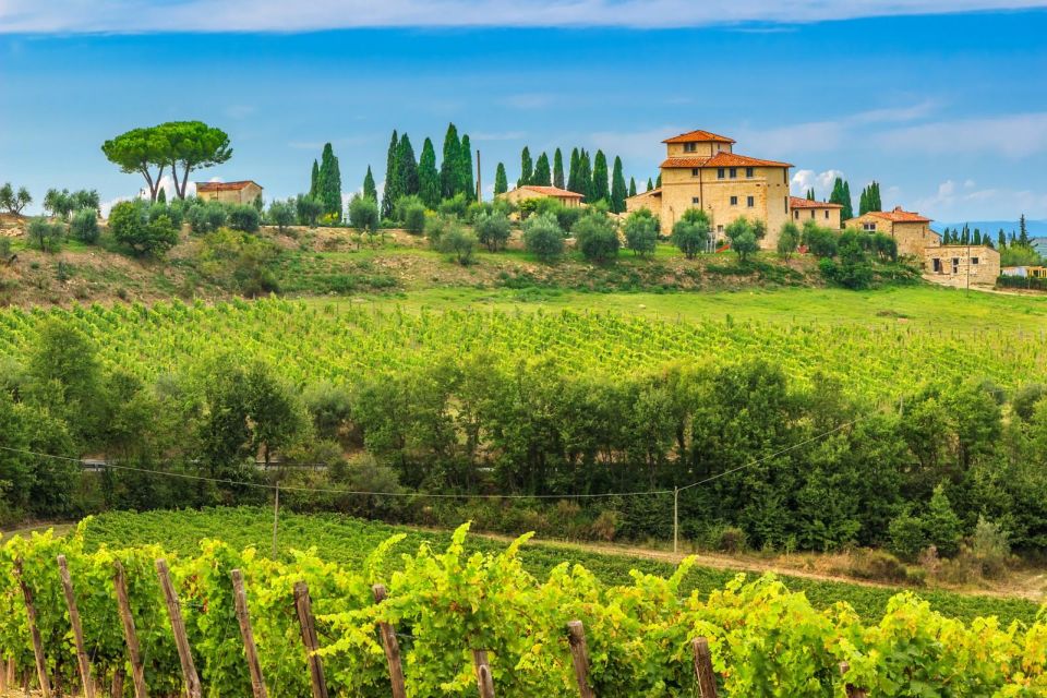 Private Tour of Florence and Chianti - Full Description