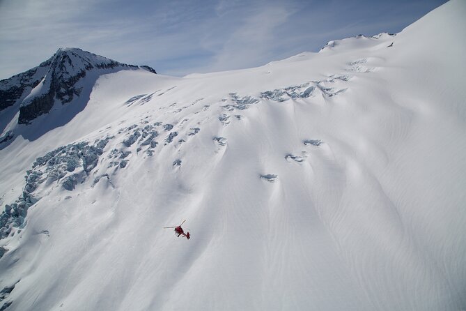 Private Whistler Helicopter Tour Mountain Landing - Passenger Guidelines