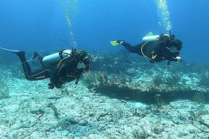 Puerto Morelos Reef National Park 2-Tank Scuba Dive  - Cancun - Equipment and Refreshments Included