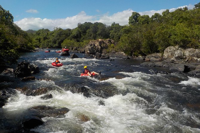 Rainforest River Tubing From Cairns - Your River Tubing Guide